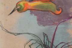 Piments et betterave 30x40