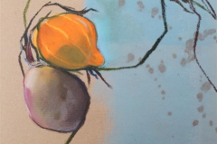 Potimarron et betteraves 30x40