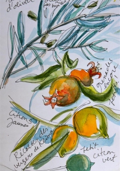 Carnet de voyage en Grèce