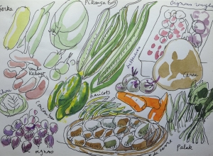 Carnet de voyage en Inde