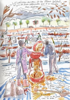 Carnet de voyage en Chine