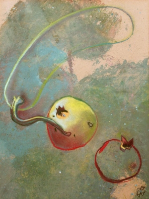 Grenade et courge indiennes 30x40