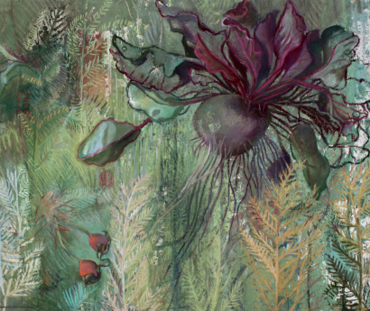 Betterave sylvestre 64x78