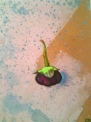 Aubergine solo 30x40