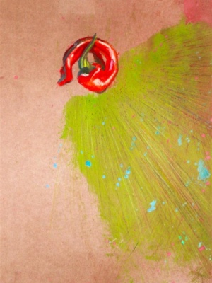 Piment corne de taureau 30x40