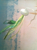 Navet solo 30x40