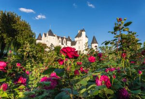 Fête de la rose au château du Rivau