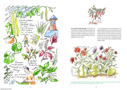 Jardins ouvriers , jardins de demain, pages 70-71