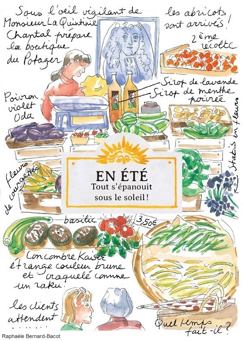 Le potager du roi : en été