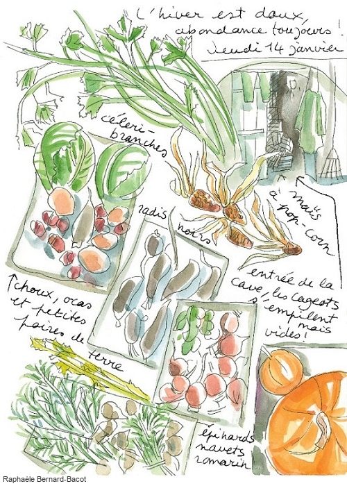 Le potager du roi : l'entrée de la cave