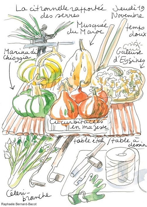 Le potager du roi : croquis