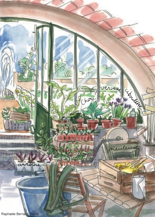 Le potager du roi : voûte page 2